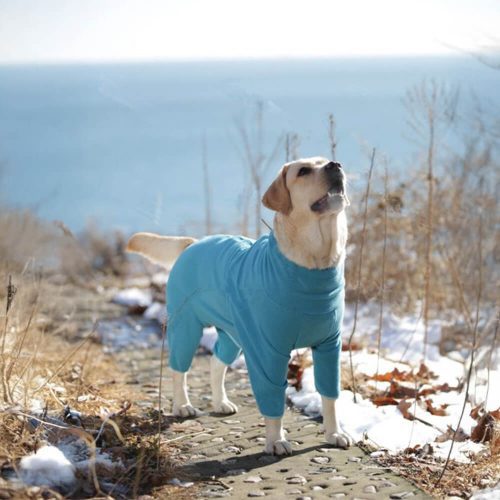 FUNNYFUZZYWindproofPolarFleeceFull BodyWarmthTurtleneckDogJumpsuit 8