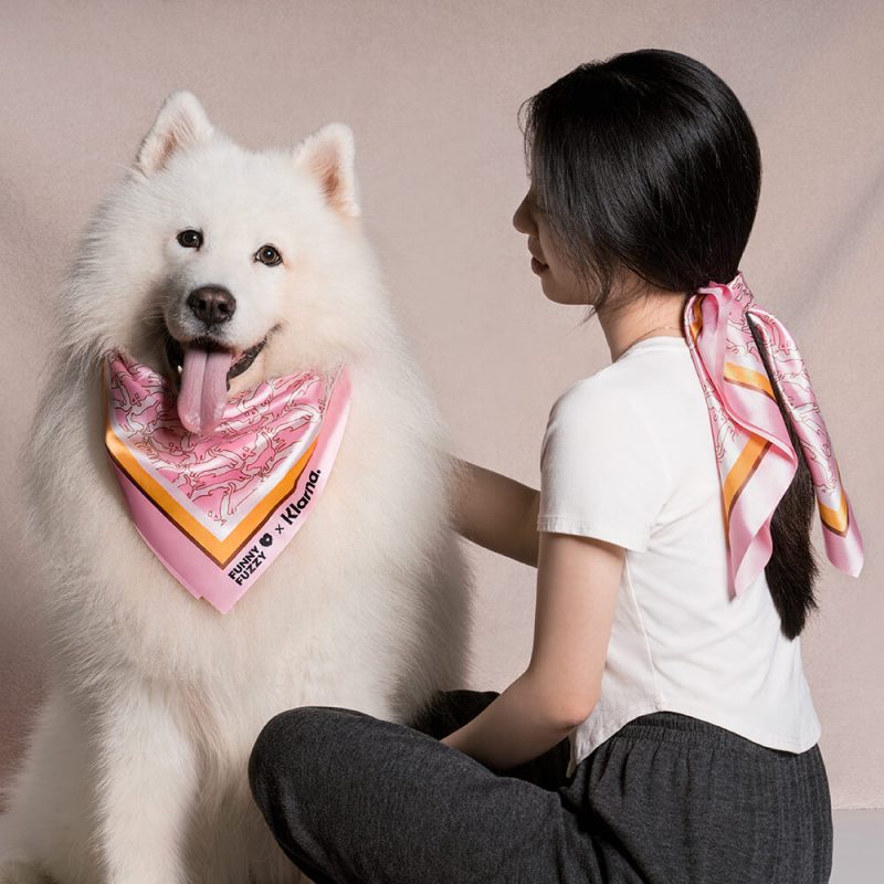 FUNNYFUZZYXKlarnaPet HumanScarf11 bfa726f6 fa58 46a7 a755 c89053c4459b