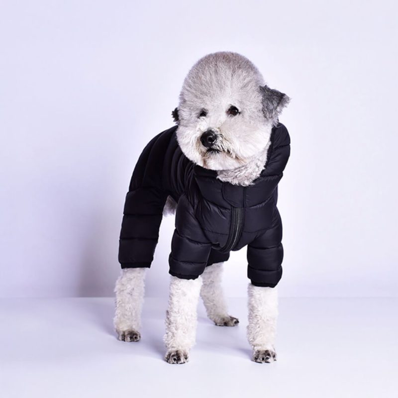 FUNNYFUZZY Lightweight Four Legged Faux Down Warm Dog Coat 4