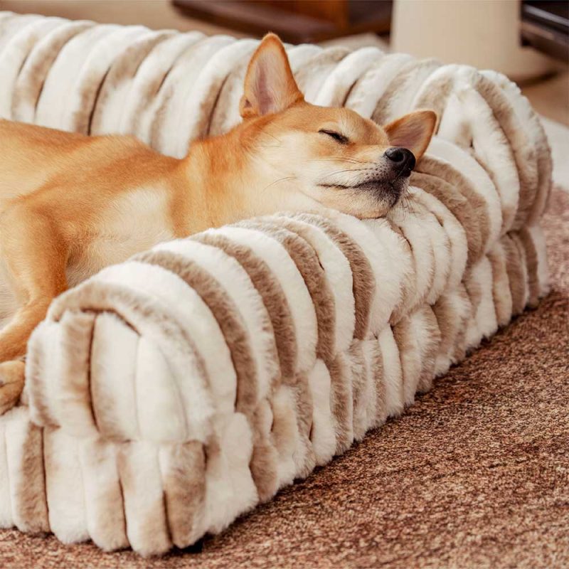 FluffyStripedOrthopedicBolsterDogBed