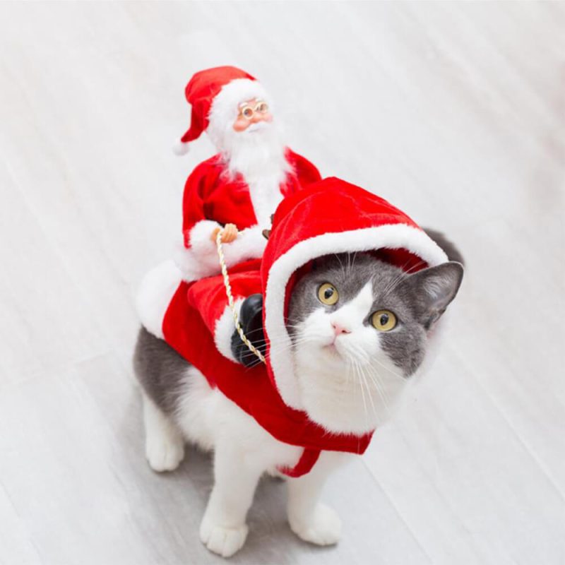 FunnyFuzzyChristmasPartySantaClausPetCosplayDogCostume 1