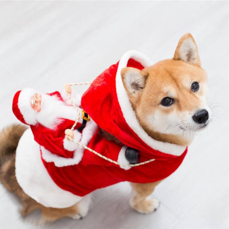 FunnyFuzzyChristmasPartySantaClausPetCosplayDogCostume 6