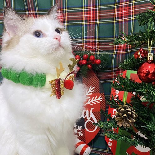 FunnyFuzzyChristmasPomPomBallOrnamentsAdjustableDog CatBibCollar 2