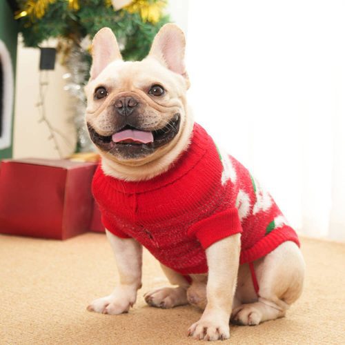 FunnyFuzzyChristmasTurtleneckDogknitSweaterMatchingPulloverForDogsAndOwner 21