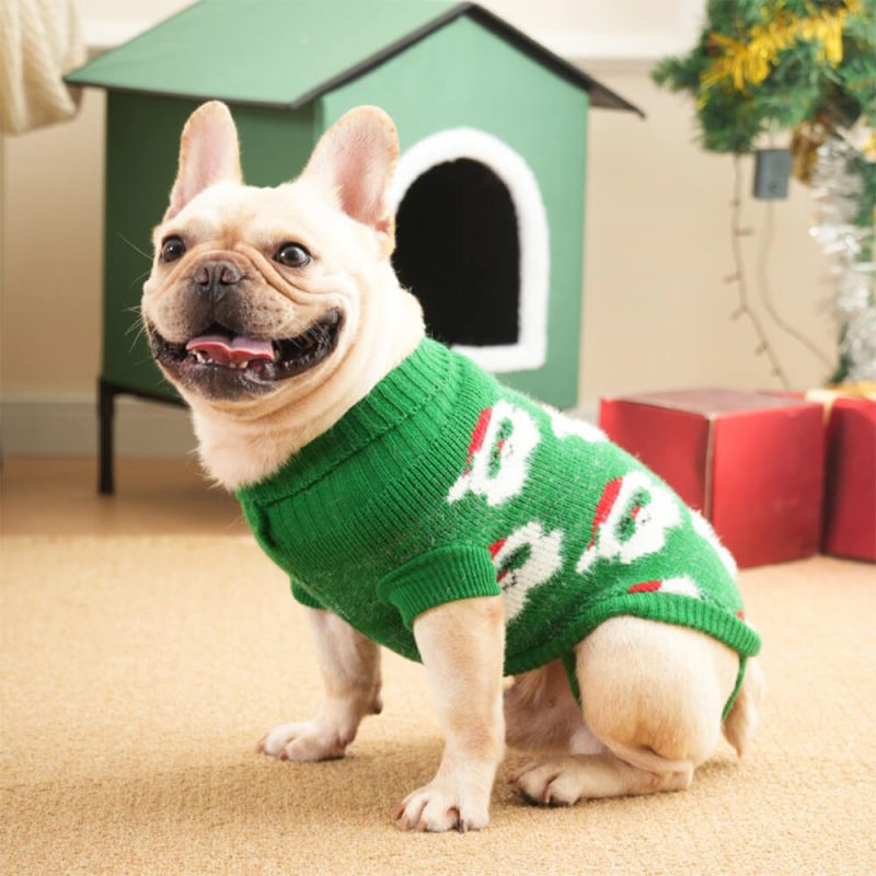 FunnyFuzzyChristmasTurtleneckDogknitSweaterMatchingPulloverForDogsAndOwner 23