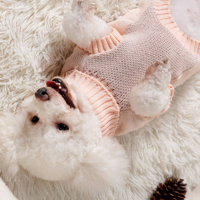 FunnyFuzzyChristmasTurtleneckDogknitSweaterMatchingPulloverForDogsAndOwner 7