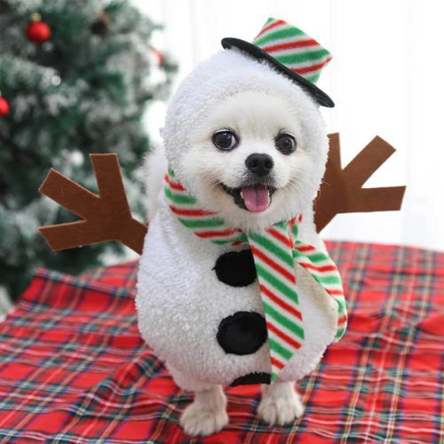 FunnyFuzzyChristmasWalkingSnowmanOutfitCosplayDog CatCostume 3