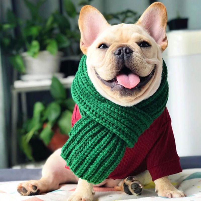 FunnyFuzzyCozyKnitSoftWarmAdjustableFitDogScarf 1