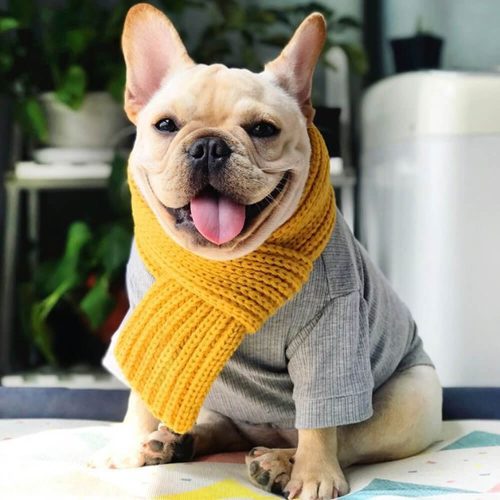 FunnyFuzzyCozyKnitSoftWarmAdjustableFitDogScarf 3