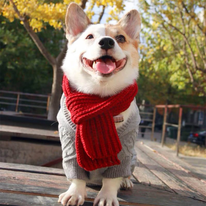 FunnyFuzzyCozyKnitSoftWarmAdjustableFitDogScarf 4