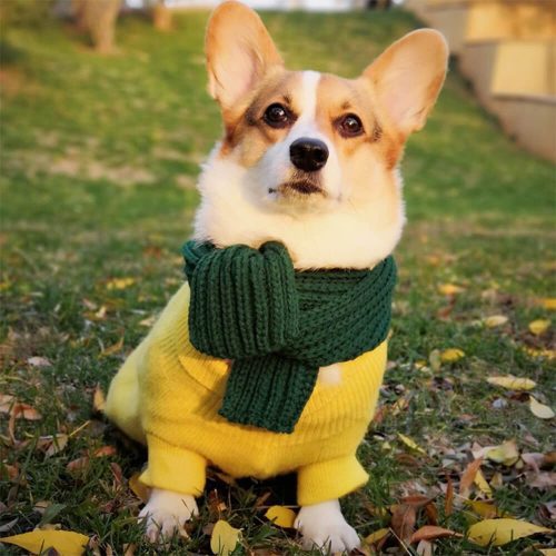 FunnyFuzzyCozyKnitSoftWarmAdjustableFitDogScarf 5