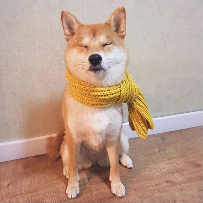 FunnyFuzzyCozyKnitSoftWarmAdjustableFitDogScarf 6