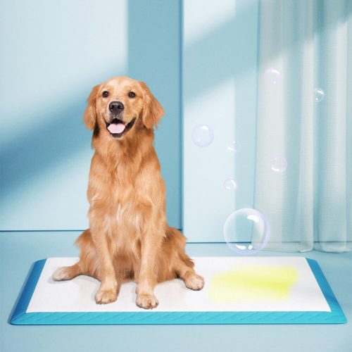 FunnyFuzzyDisposablePetPadsAbsorbent Leak ProofDogPeeTrainingPad 1