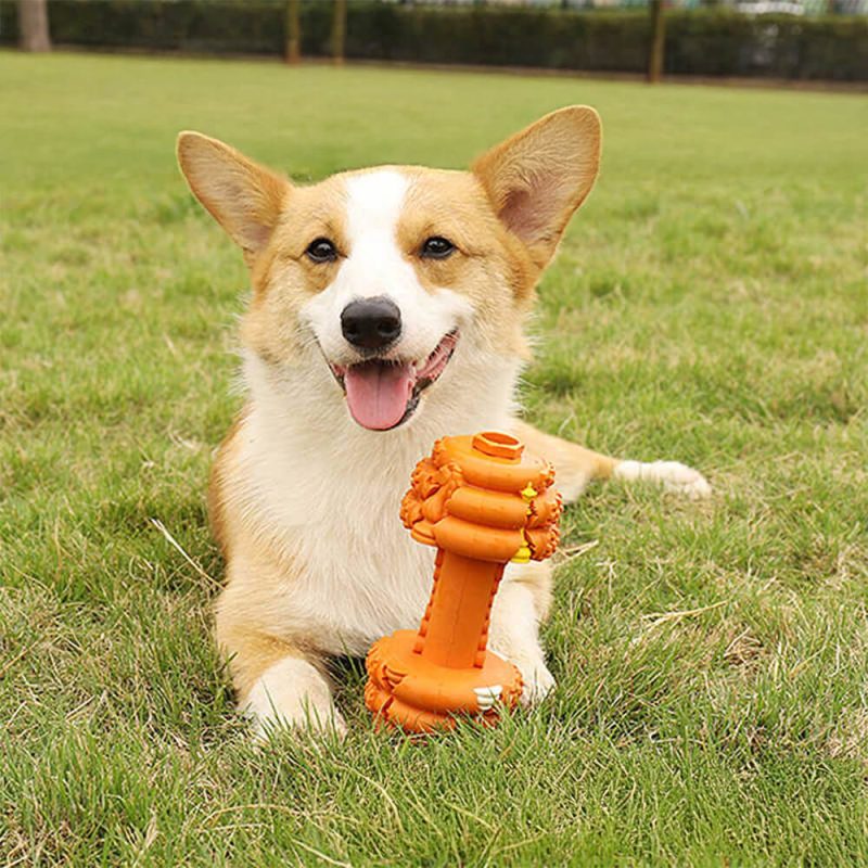 FunnyFuzzyDumbbellSiliconeSlowFeederDurableInteractiveDogToy 7