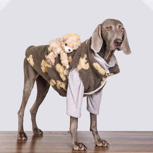 FunnyFuzzyDurableWarmFauxLambswoolDogJacketwithTeddyBearBackpack 10