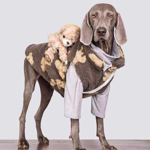 FunnyFuzzyDurableWarmFauxLambswoolDogJacketwithTeddyBearBackpack 4