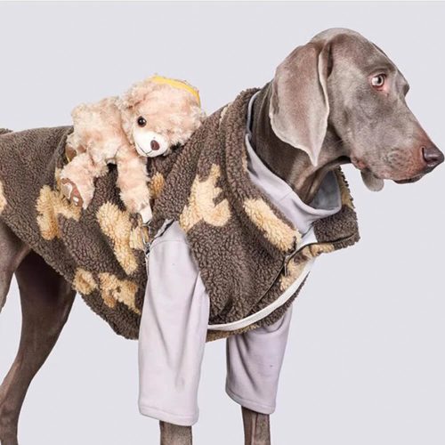 FunnyFuzzyDurableWarmFauxLambswoolDogJacketwithTeddyBearBackpack 5