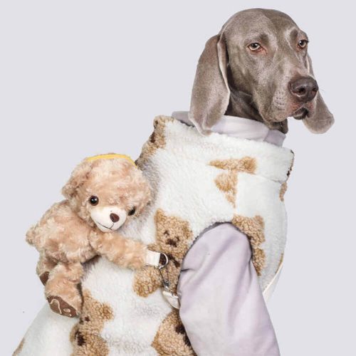 FunnyFuzzyDurableWarmFauxLambswoolDogJacketwithTeddyBearBackpack 8