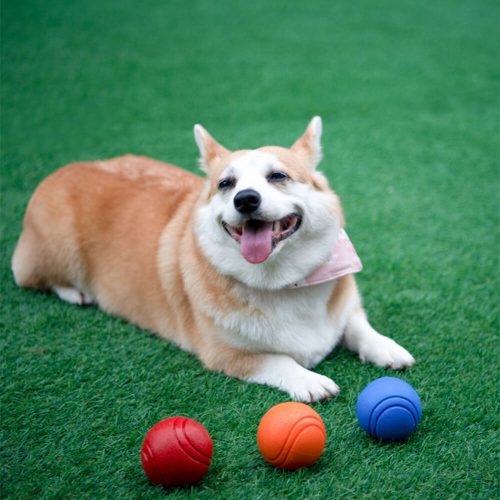 FunnyFuzzyElasticSqueakyBallToyFloatingWaterBallDogChewToy 10