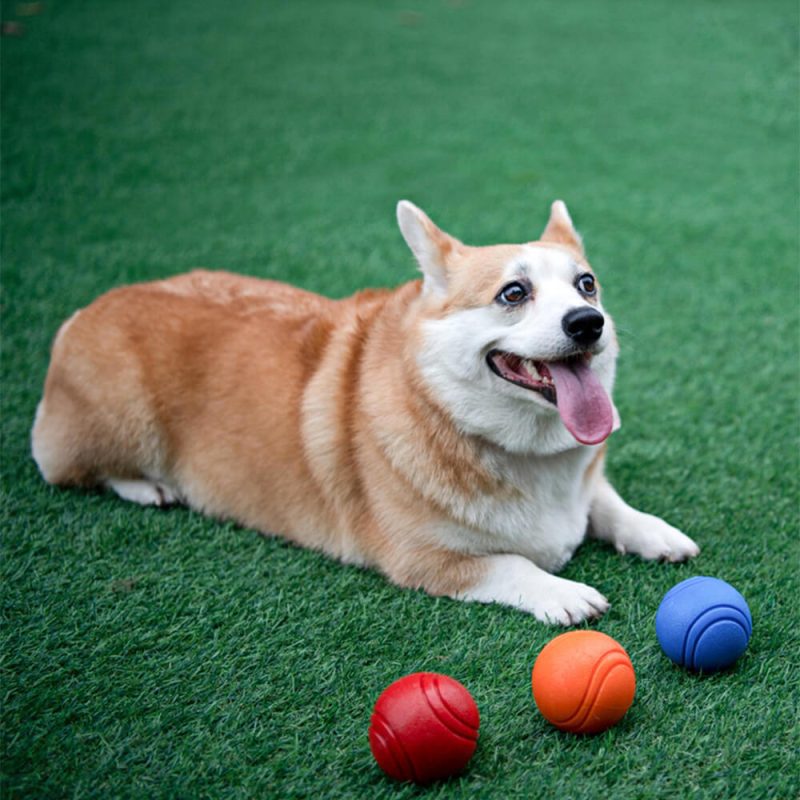 FunnyFuzzyElasticSqueakyBallToyFloatingWaterBallDogChewToy 3