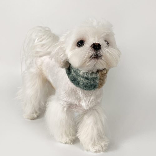 FunnyFuzzyFashionablePlaidColorBlockPlushWarmPetScarf 1