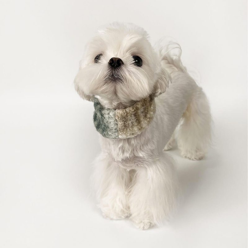 FunnyFuzzyFashionablePlaidColorBlockPlushWarmPetScarf 3