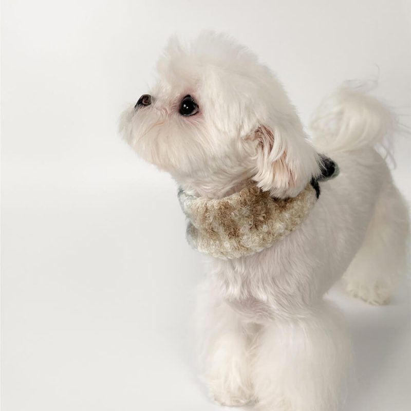 FunnyFuzzyFashionablePlaidColorBlockPlushWarmPetScarf 4