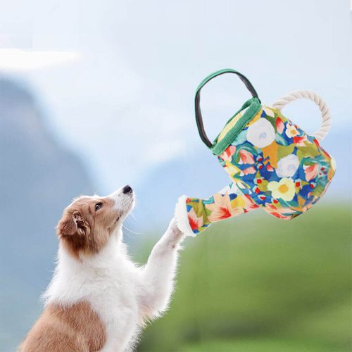 FunnyFuzzyFloralPrintCanvasDogChewResistantToySqueakyToy 6