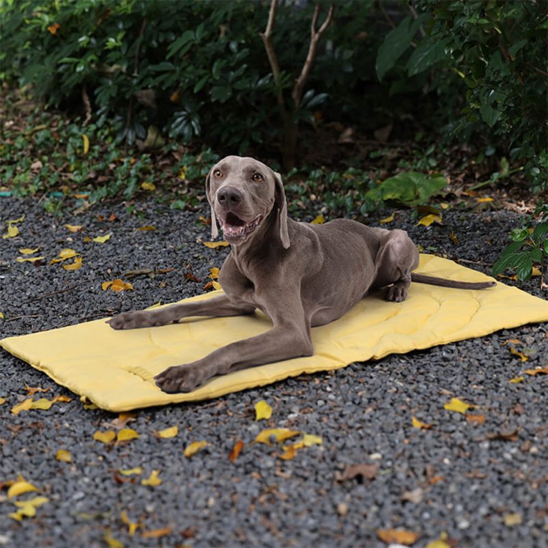 FunnyFuzzyFoldableWaterproofPortableDogCarSeatMatDogCampingMat 6