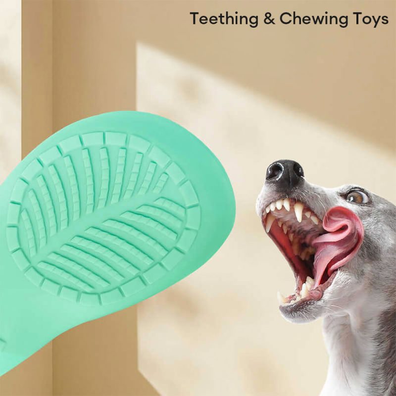 FunnyFuzzyLatexSlipperSqueakerInteractiveDurableTeethCleaningDogToy 4