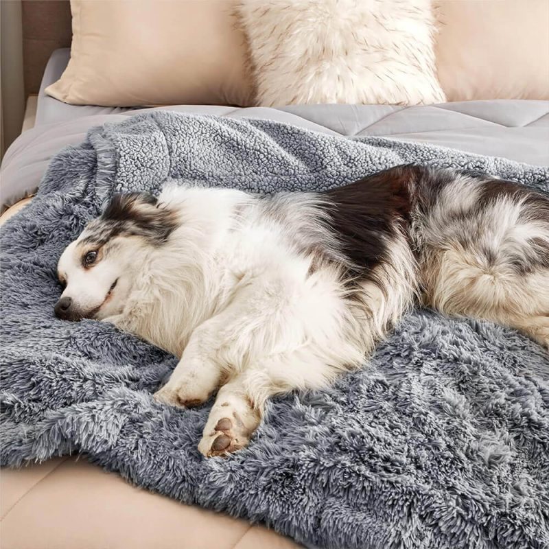 FunnyFuzzyLuxuriousWaterproofPlushWarmMulti PurposeHomeDogBlanket 1