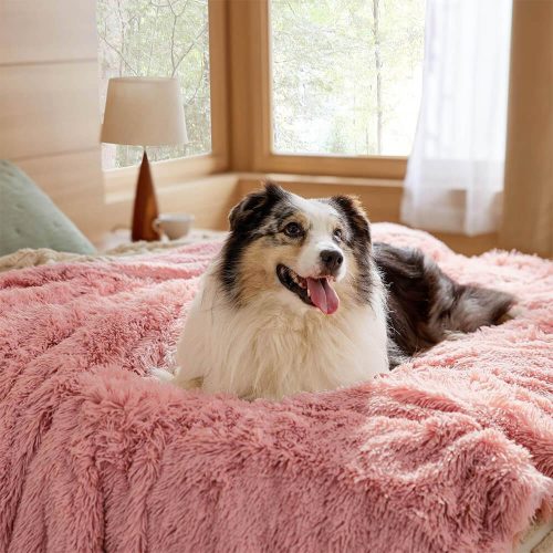 FunnyFuzzyLuxuriousWaterproofPlushWarmMulti PurposeHomeDogBlanket 2