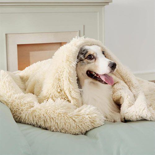 FunnyFuzzyLuxuriousWaterproofPlushWarmMulti PurposeHomeDogBlanket 4 a5dd40c5 bd4e 46aa 9a00 16345e112718