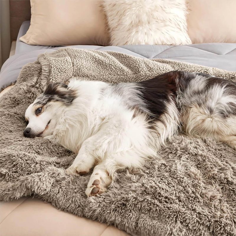 FunnyFuzzyLuxuriousWaterproofPlushWarmMulti PurposeHomeDogBlanket 6