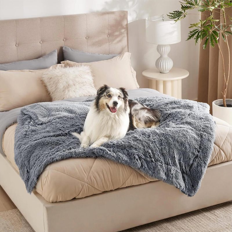 FunnyFuzzyLuxuriousWaterproofPlushWarmMulti PurposeHomeDogBlanket 7