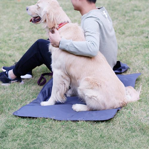 FunnyFuzzyMulti functionalReversibleAll SeasonWaterproofDogMat 2