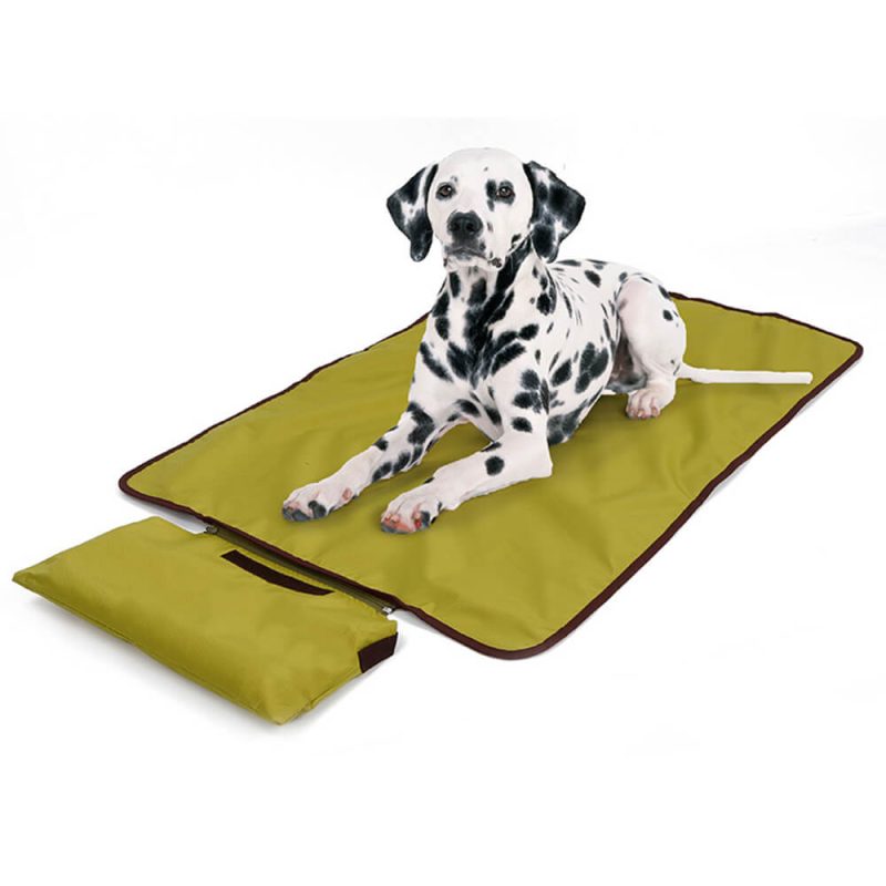 FunnyFuzzyMulti functionalReversibleAll SeasonWaterproofDogMat 3