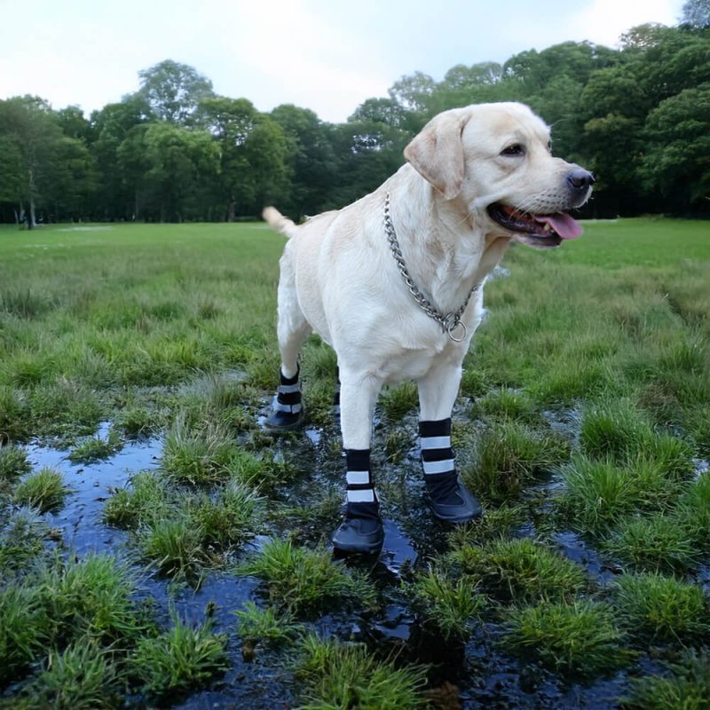 FunnyFuzzyOutdoorWaterproofWarmDurableReflectiveDogBoots 12