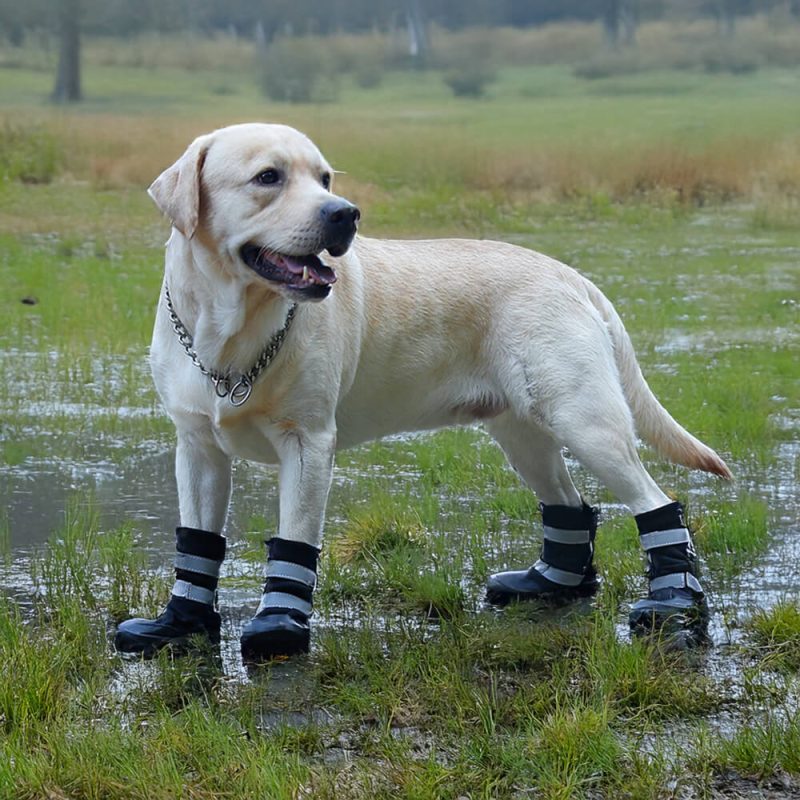 FunnyFuzzyOutdoorWaterproofWarmDurableReflectiveDogBoots 13