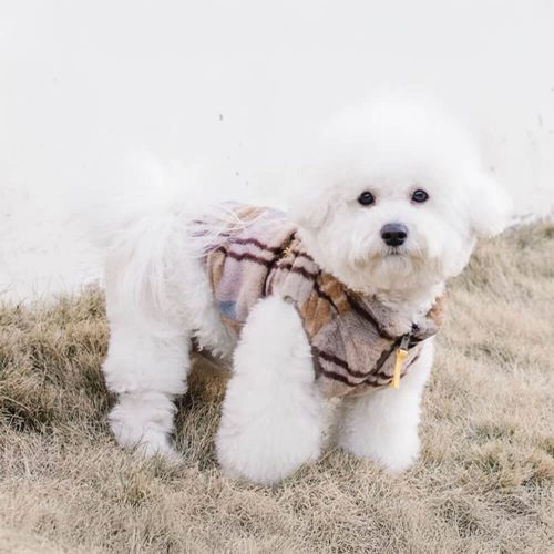 FunnyFuzzyPlaidSkin FriendlyFleeceEmbroiderywithLeashOpeningDogJacket 1