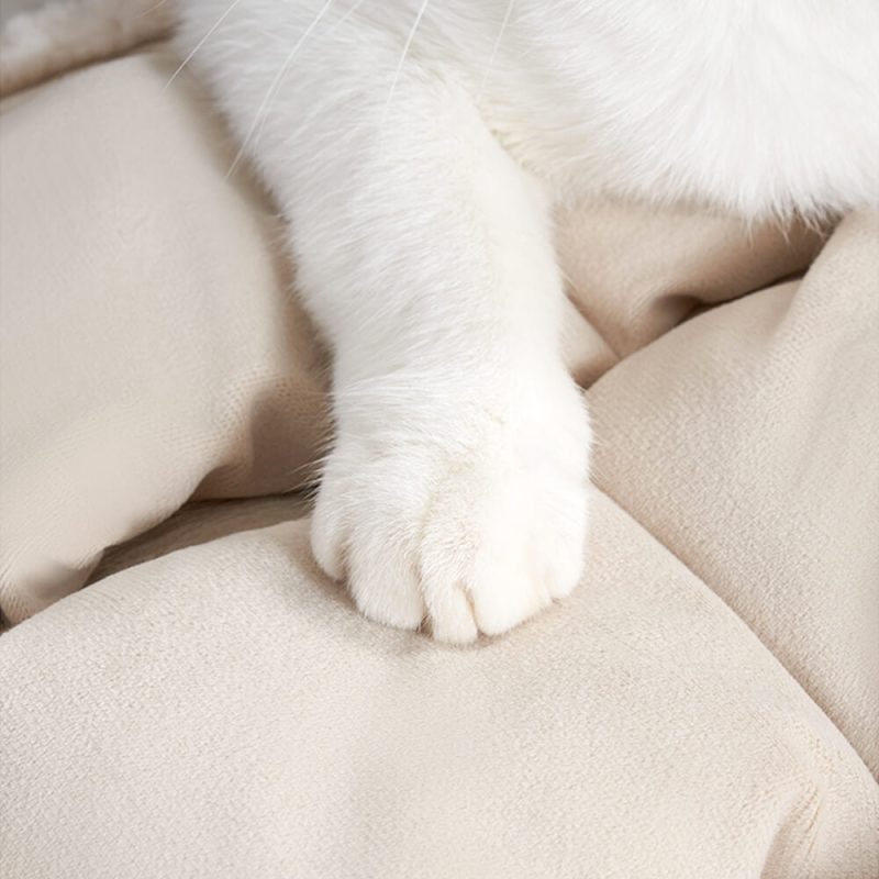 FunnyFuzzyPlayInteractiveRestFoldableSkin FriendlyCatTunnelSleepingMat 5