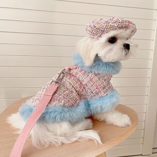 FunnyFuzzyPrincessStyleDogBeretCapeLeashAccessoriesSet 1