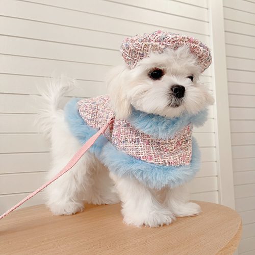 FunnyFuzzyPrincessStyleDogBeretCapeLeashAccessoriesSet 11