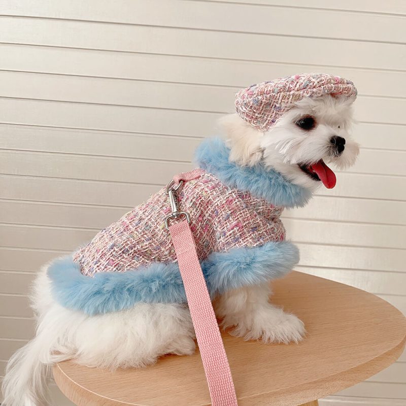 FunnyFuzzyPrincessStyleDogBeretCapeLeashAccessoriesSet 12