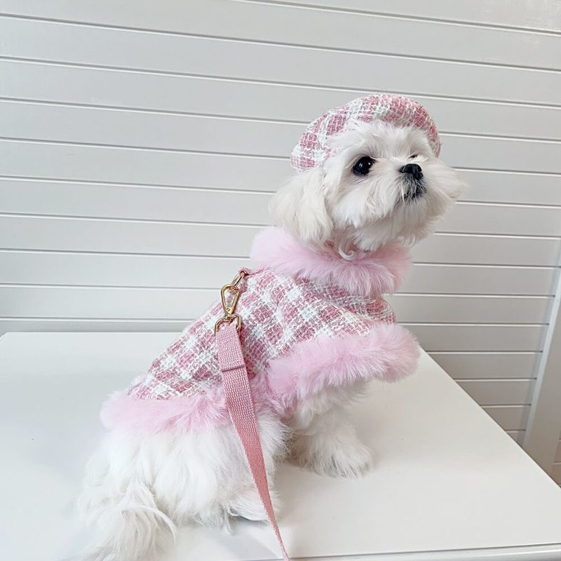 FunnyFuzzyPrincessStyleDogBeretCapeLeashAccessoriesSet 15