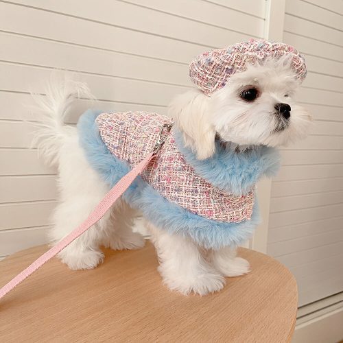 FunnyFuzzyPrincessStyleDogBeretCapeLeashAccessoriesSet 16