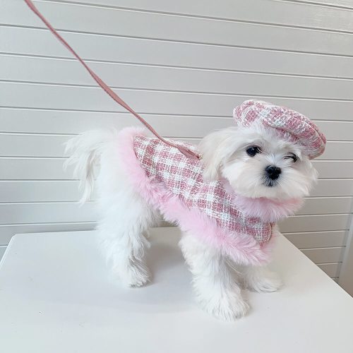 FunnyFuzzyPrincessStyleDogBeretCapeLeashAccessoriesSet 17