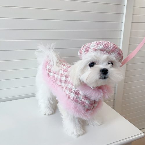 FunnyFuzzyPrincessStyleDogBeretCapeLeashAccessoriesSet 2