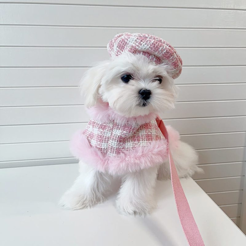 FunnyFuzzyPrincessStyleDogBeretCapeLeashAccessoriesSet 3