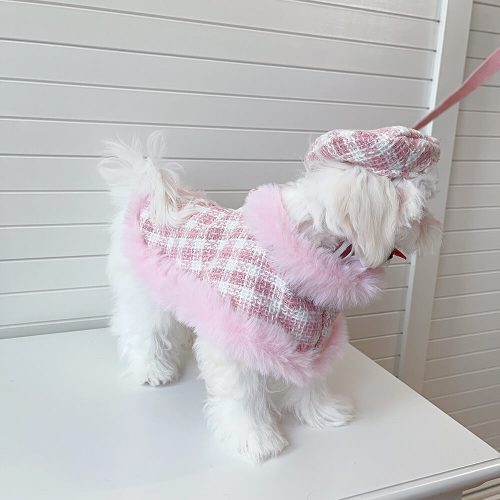 FunnyFuzzyPrincessStyleDogBeretCapeLeashAccessoriesSet 4